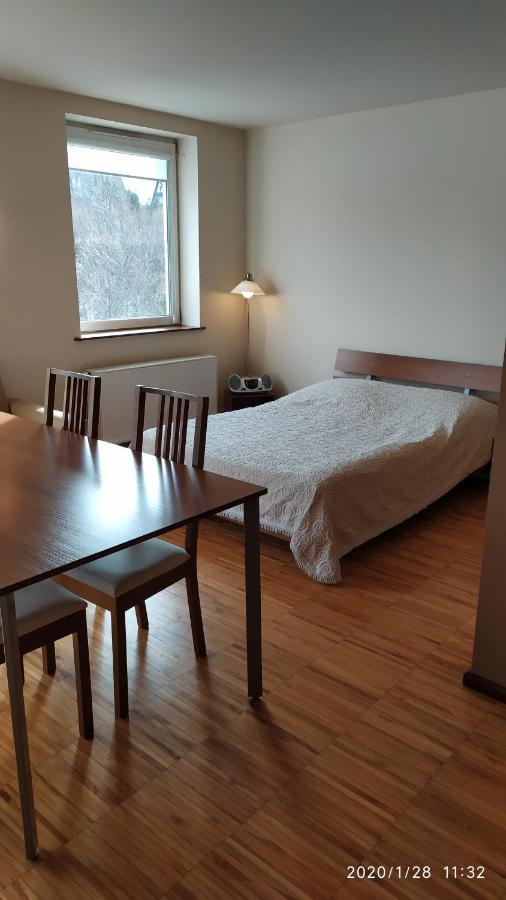 Zawoja1560 Apartamenty Przy Aptece Esterno foto